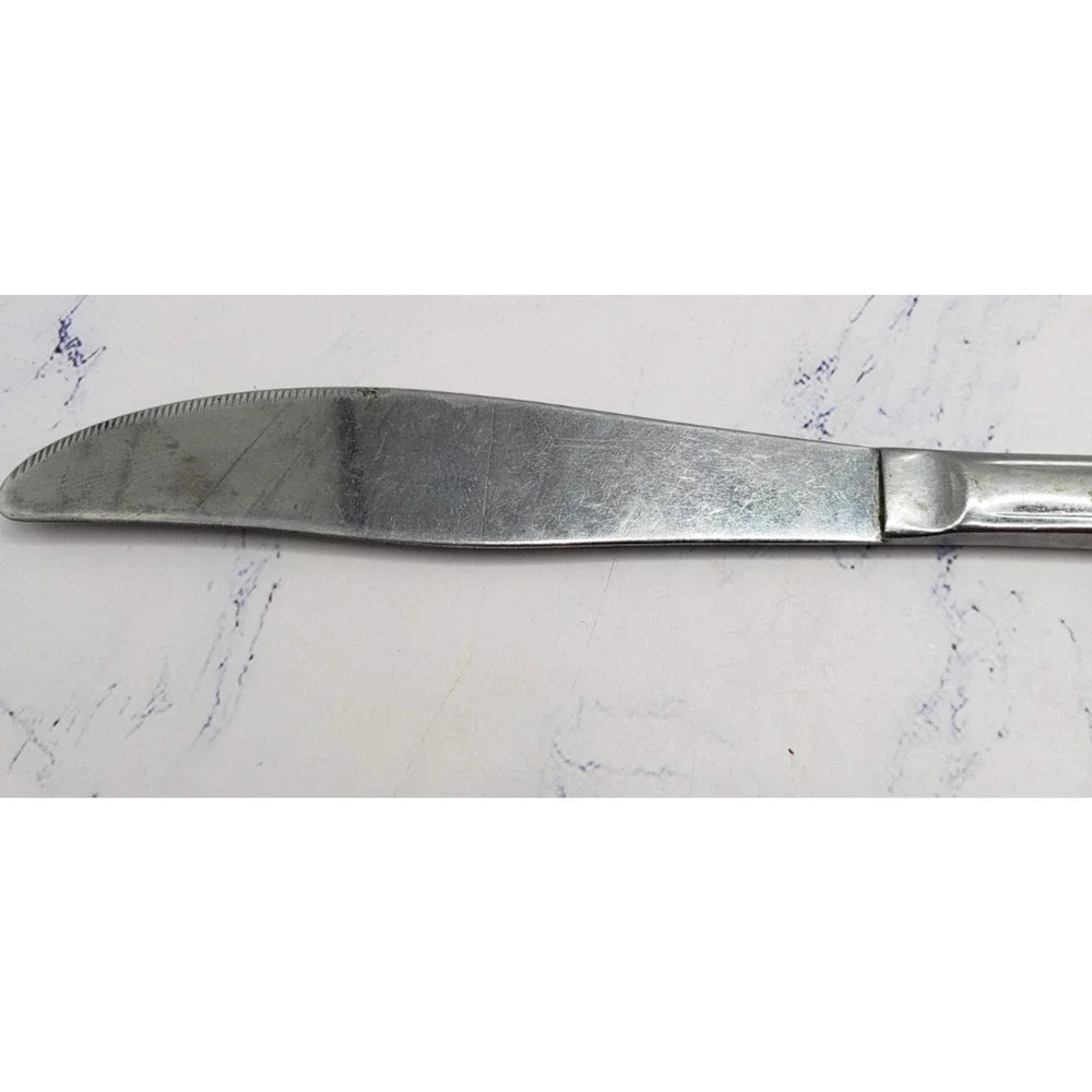 Stainless Steel 8 Inch Floral Pattern Flatware Butter Knife